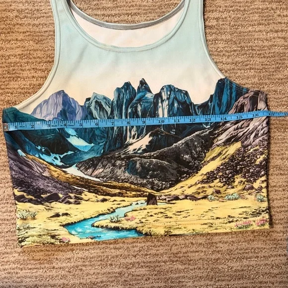 Artist Rachel Pohl Graphic Crop tank top - Picture 9 of 10